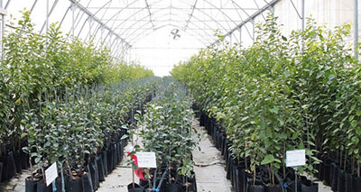 2001 - Özler Tarım Paketleme Tesisleri